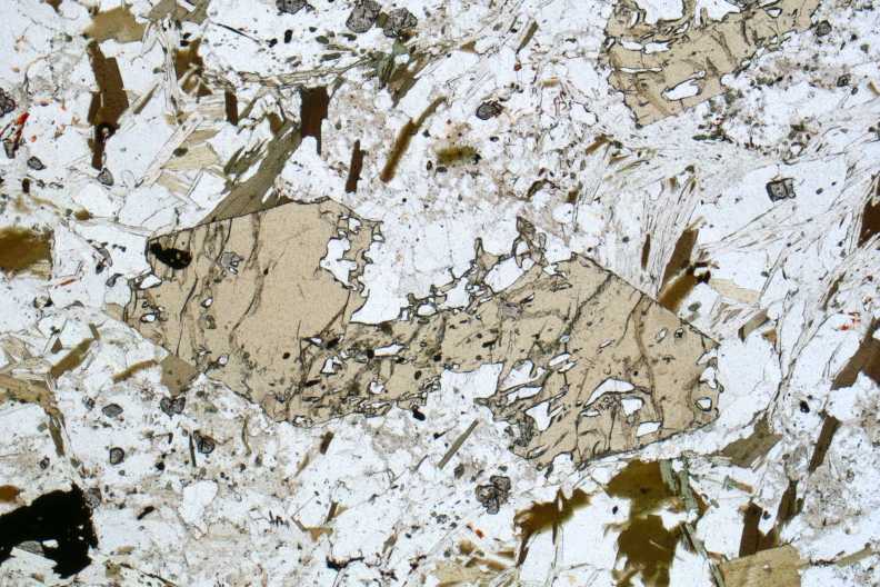 Staurolith-Granat-Plagioklas-Gneis