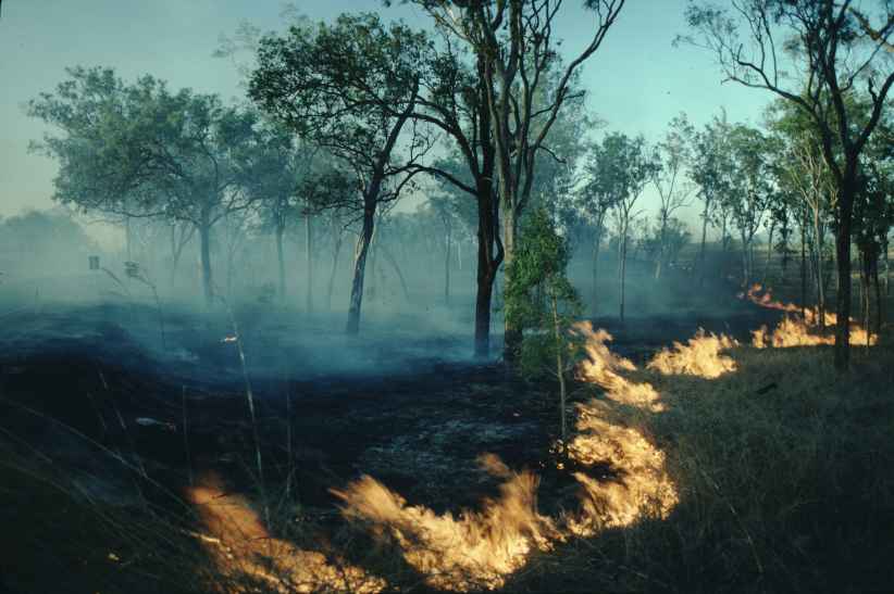 Buschbrand in Australien