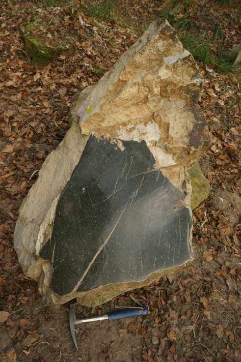 polierter
        Phonolith