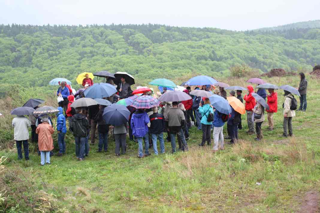 Aussichtspunkt im
        Regen