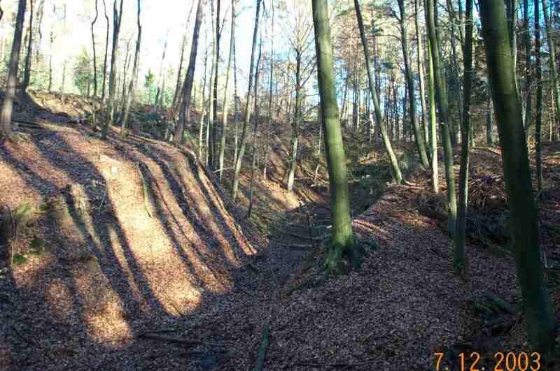 der verwachsene und verfallene
          Steinbruch