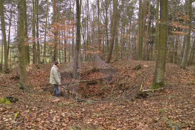 Schachtpinge Groostheim