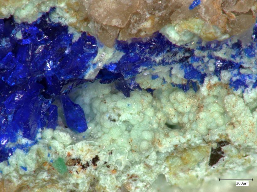 grne
        Krusten