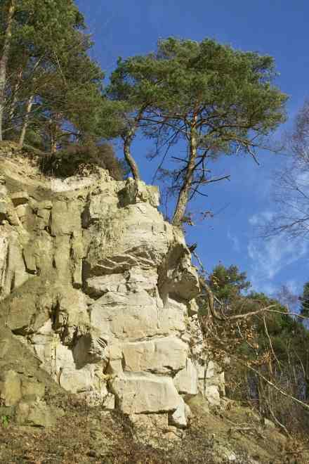 weie
          Sandsteinfelsen