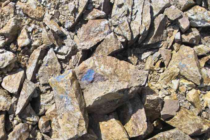 Gneis der Grube
                Wilelmine