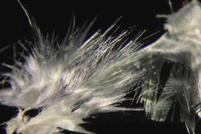 feinfaseriger Olivenit