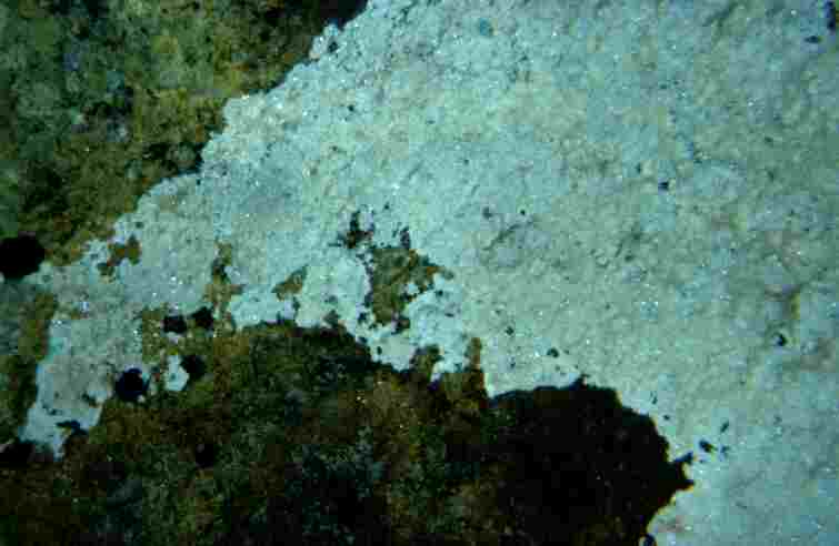 nicht bekanntes
                Mineral