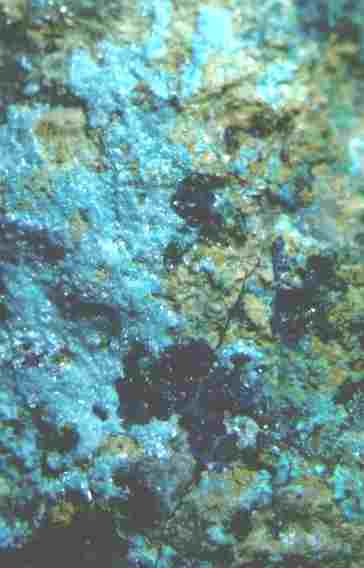 Serpierit, Wroewolfeit