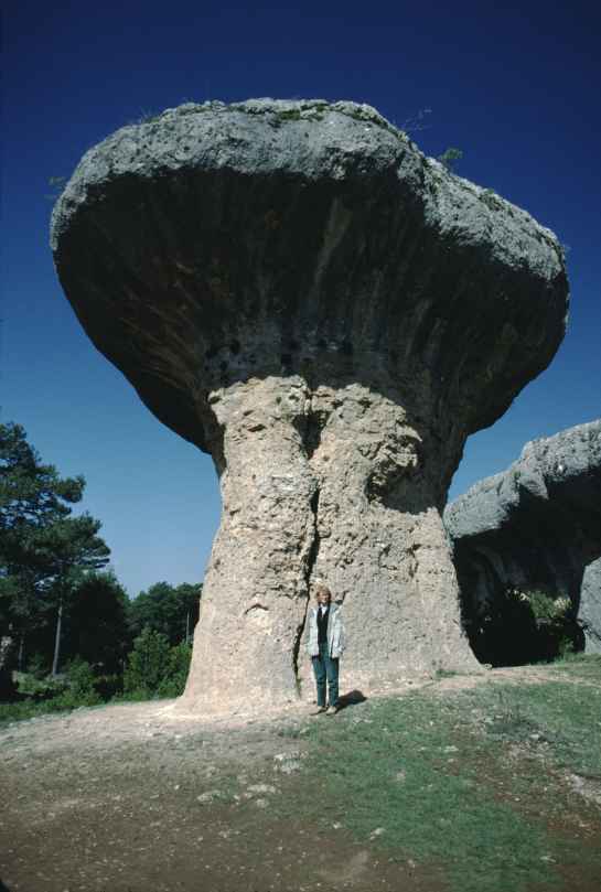 Pilzfelsen