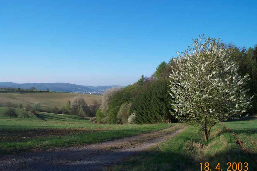 Landschaft bei Wenighösbach