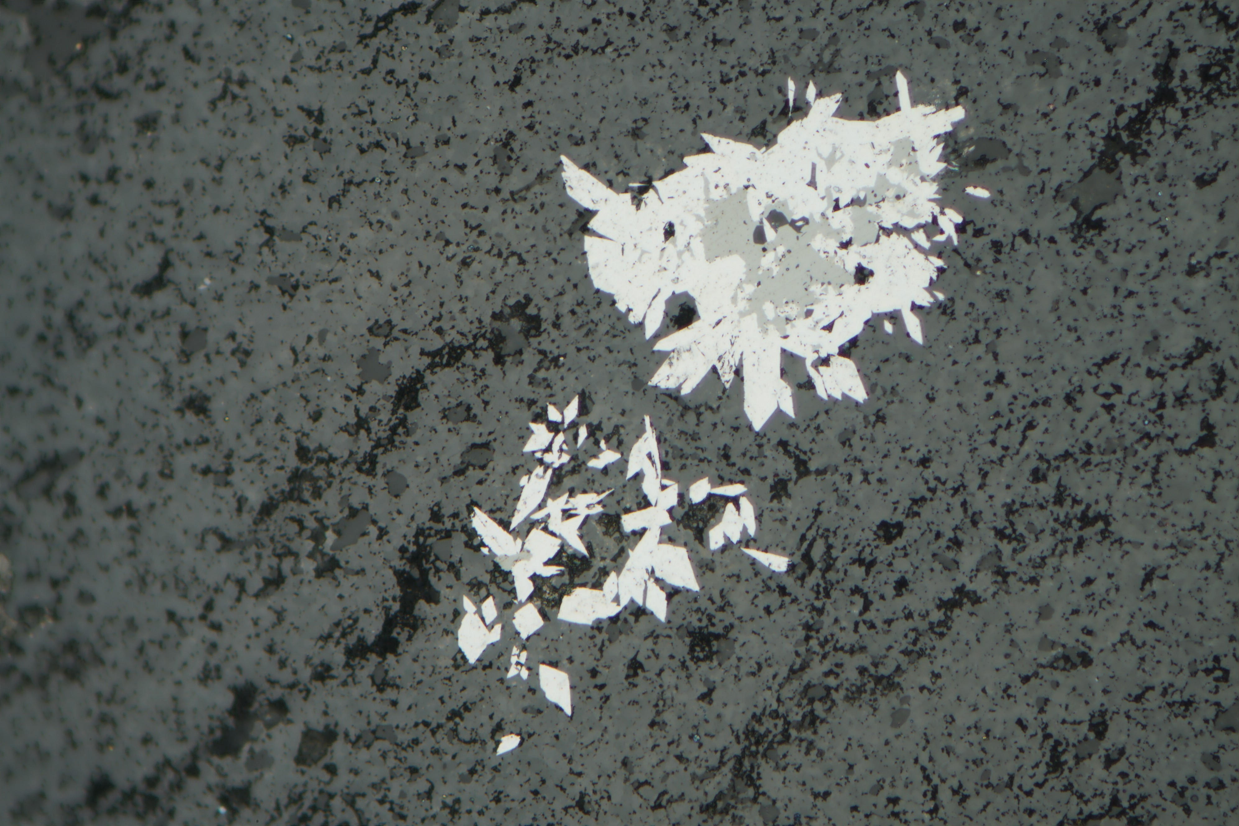 Kupferschiefer