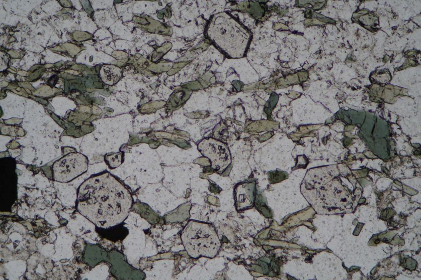 Granat
              im Dnnschliff