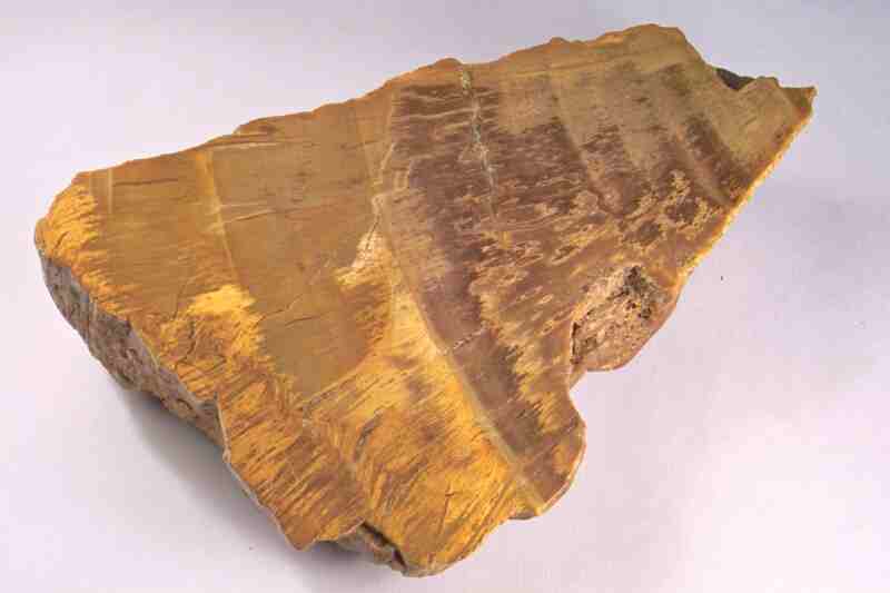 verkieseltes Holz