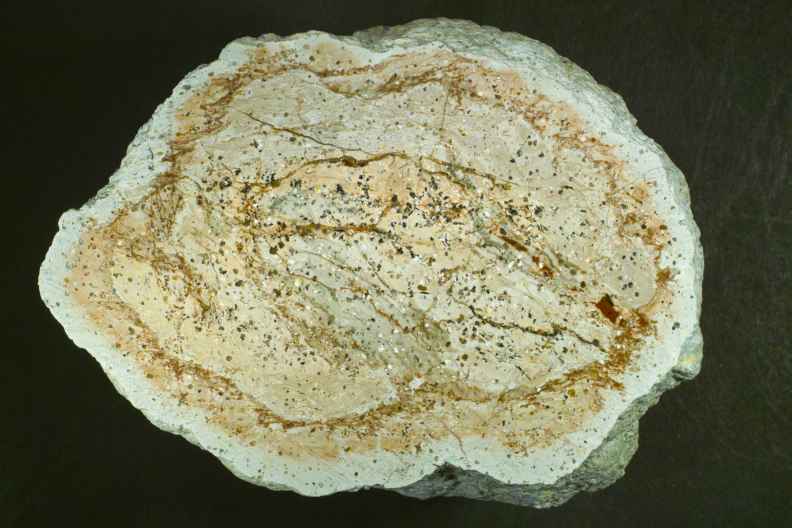 mit
                Schrl