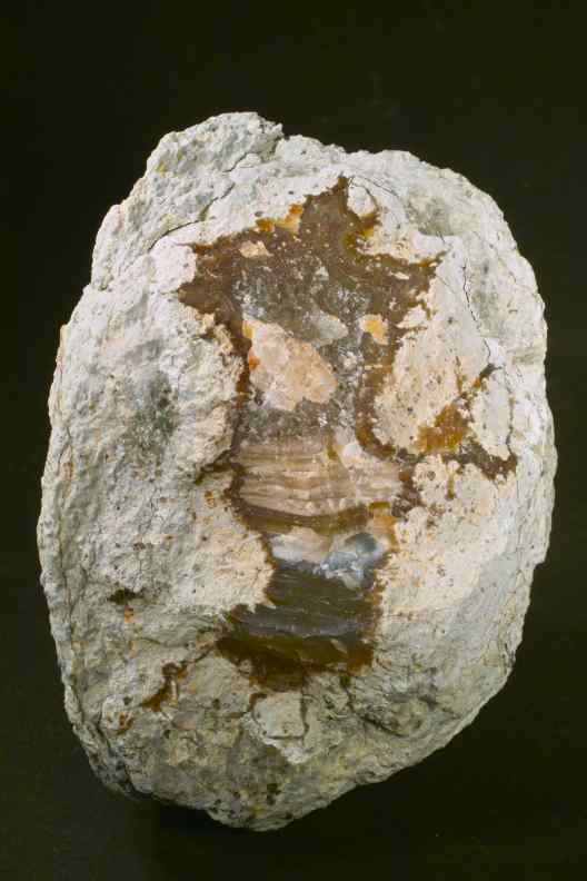 aufgebrochene Lithophyse