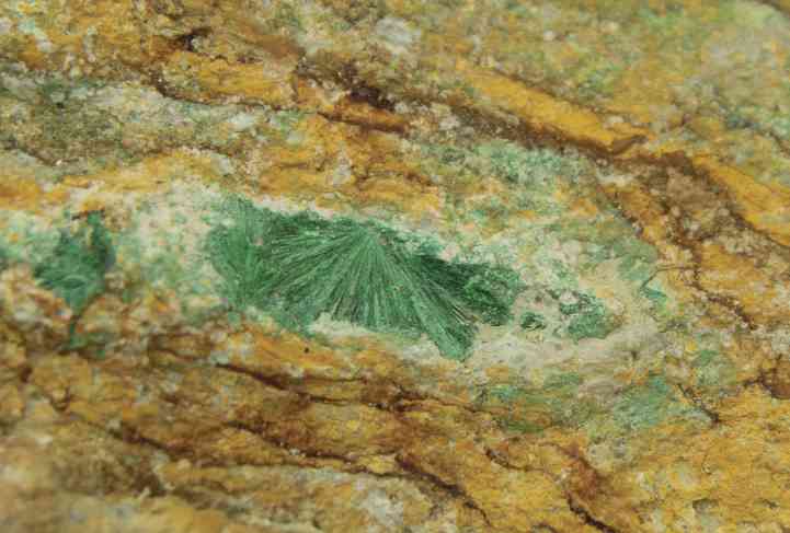 radialstrahliger Malachit