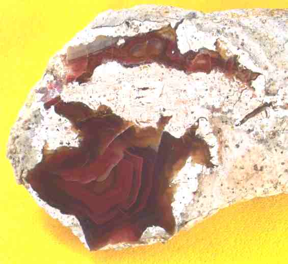 gebnderter Achat mit Goethit