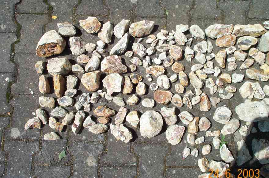 Fund
                2003