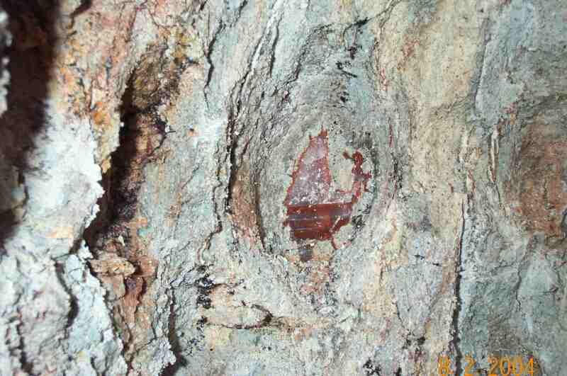 Achat im Anstehenden