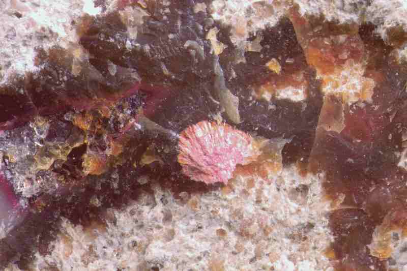 Apatit im
                Achat