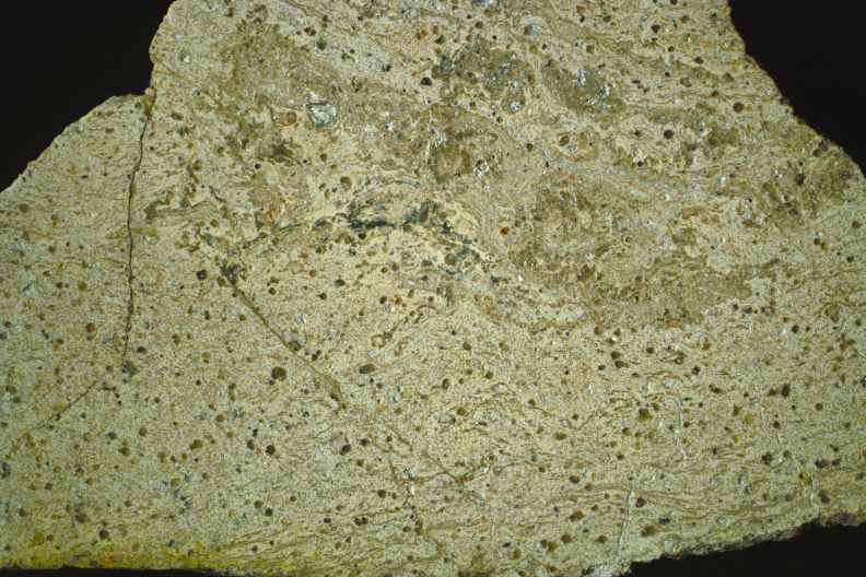 Rhyolith
            Eichenberg