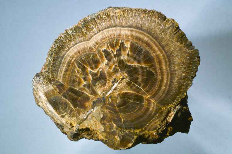 Baryt radialstrahlig