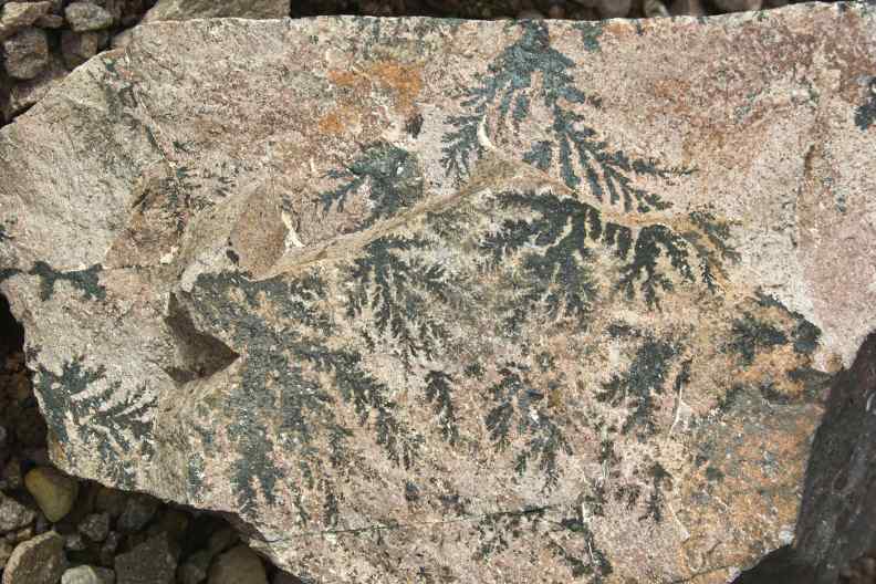 Dendriten auf dem
        Rhyolith