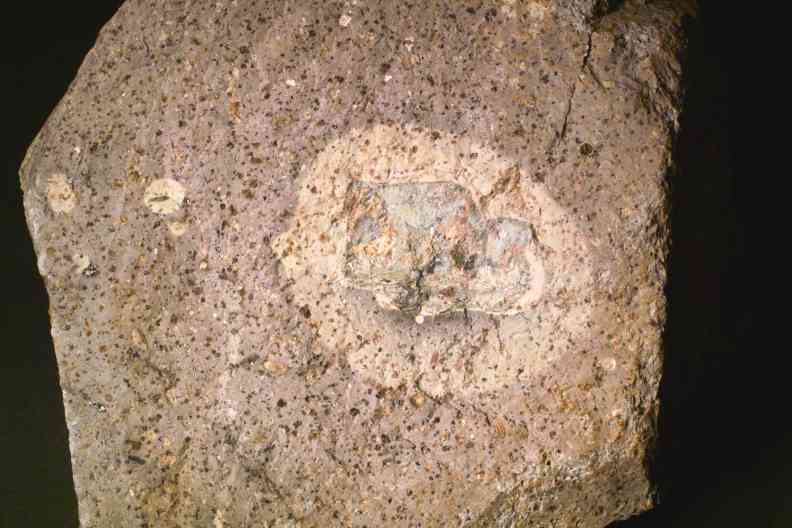 Xenolith mit Reduktionshof