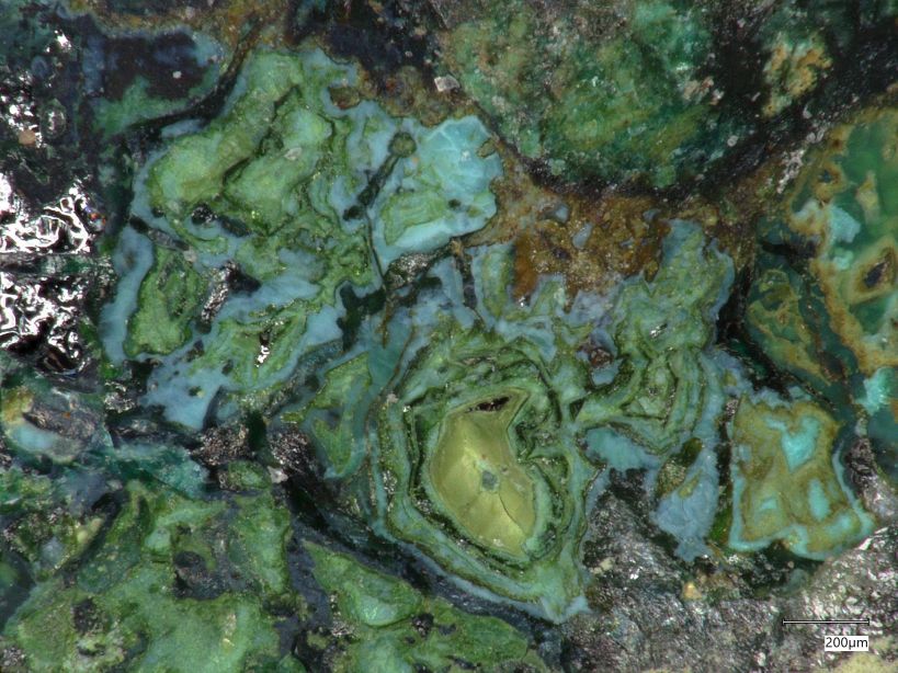 Chrysokoll