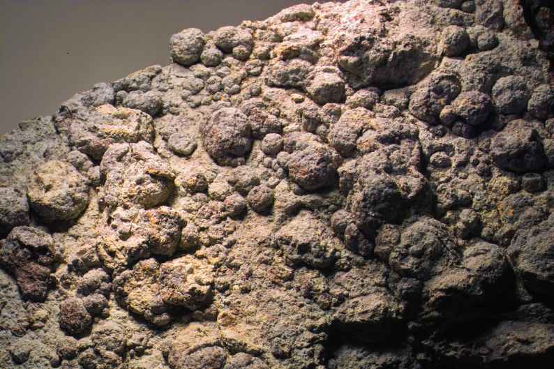 viele
                Lithophysen