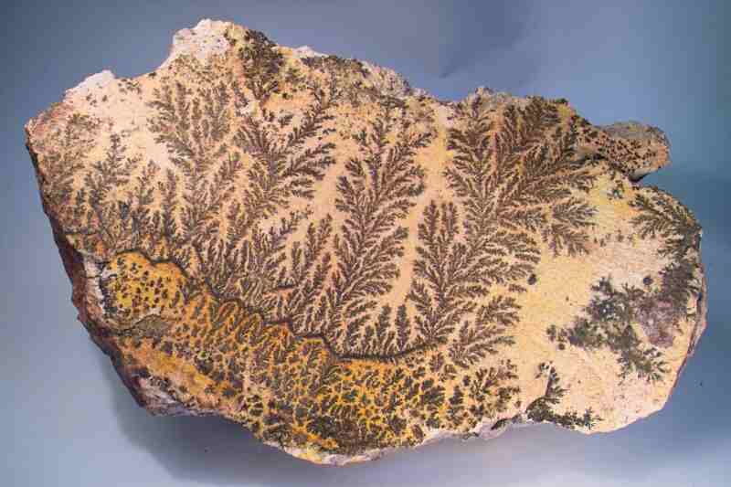 Dendriten auf Rhyolith