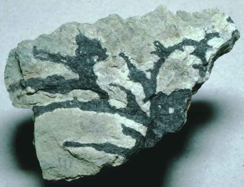 Uraninit im Seladonit