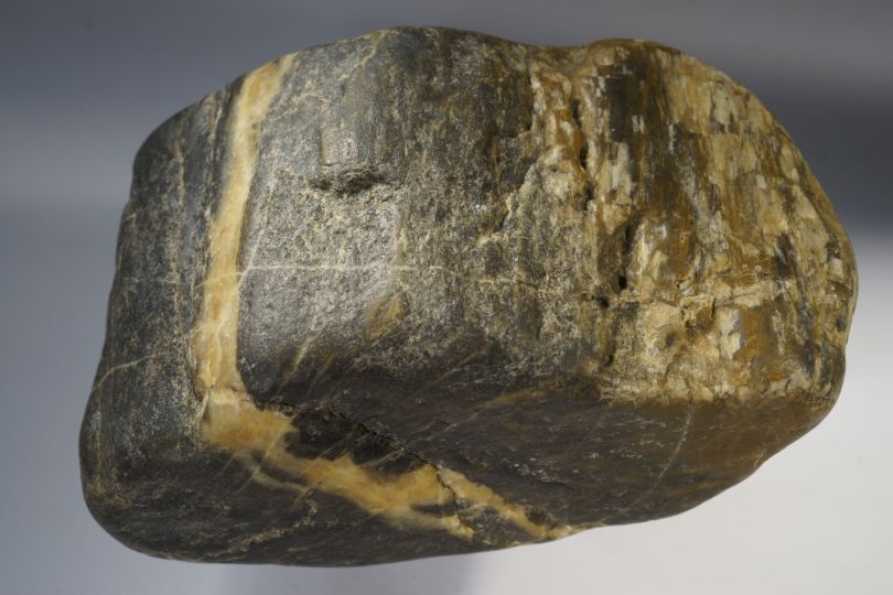 Kieselholz
              mit Riss