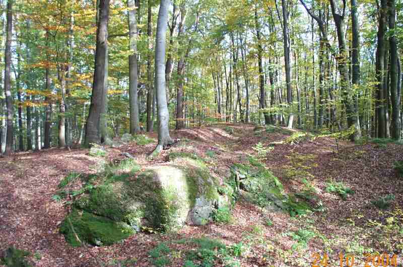 die kleinen Sch&uuml;rfe auf dem Grauenstein