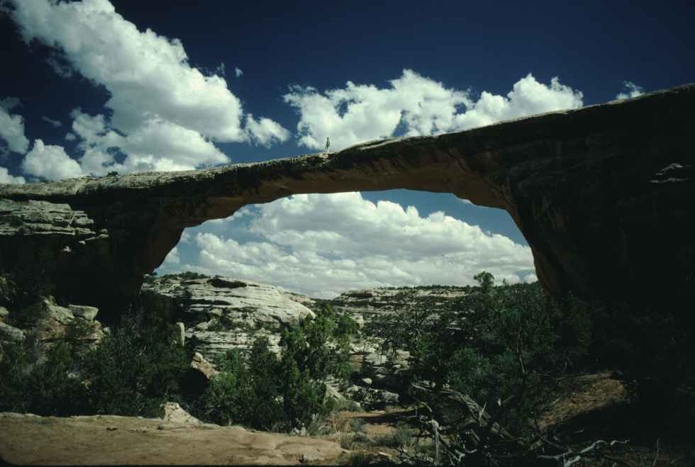 Owachomo Bridge