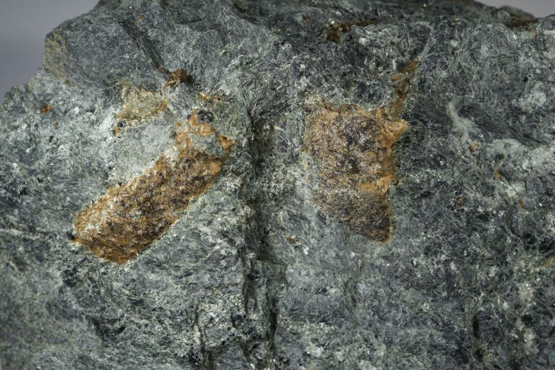 Staurolith
      im Glimmerschiefer