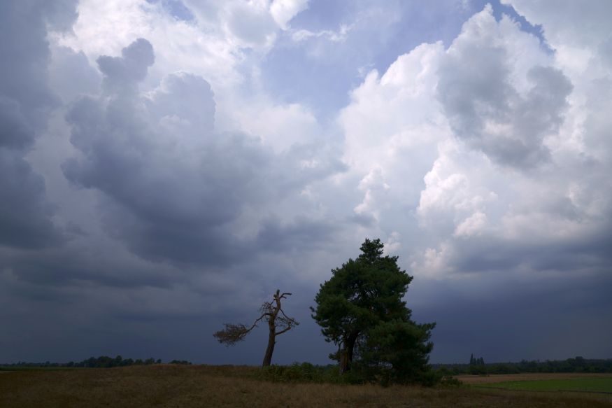 Gewitter