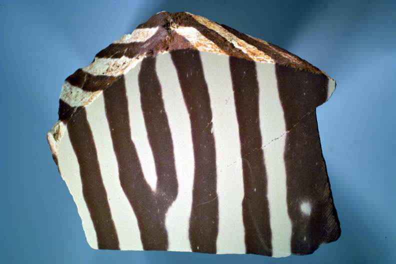 Zebra Rock