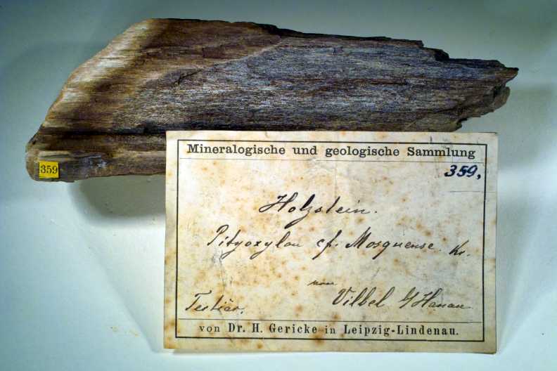 Holz
                  von Bad Vilbel