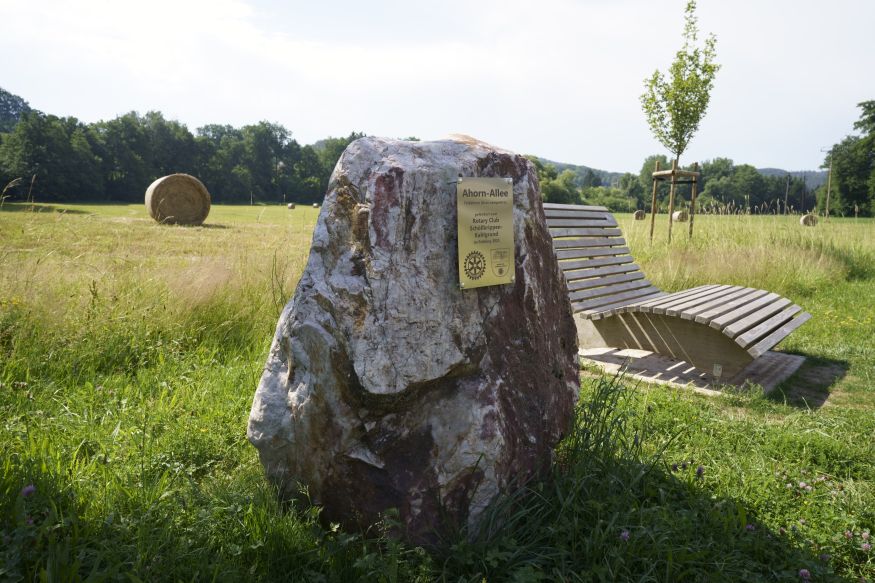 Quarz
                  bei Blankenbach