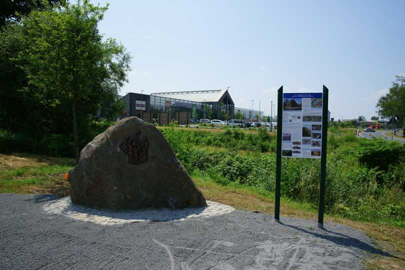 verkieseltes Holz