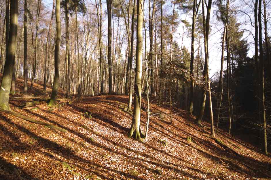 Halde bei Growallstadt