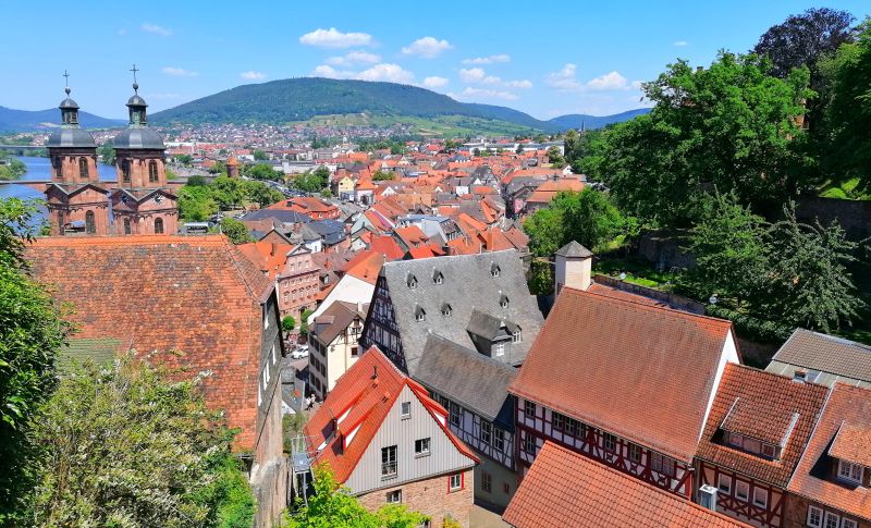 Miltenberg von oben