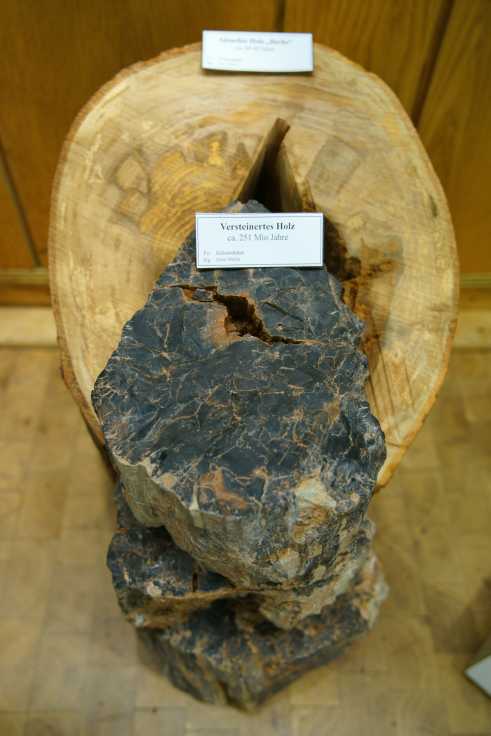 Kilianstädten fossiles Holz