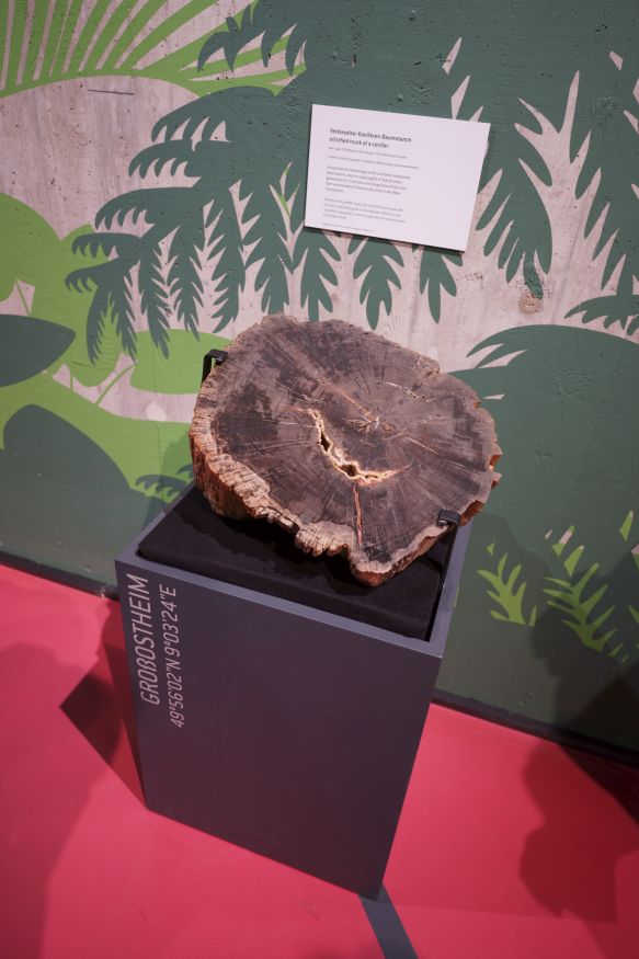 Sonderausstellung