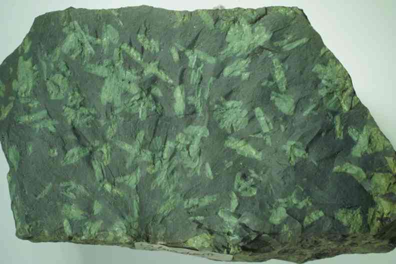 Porfido verde antico