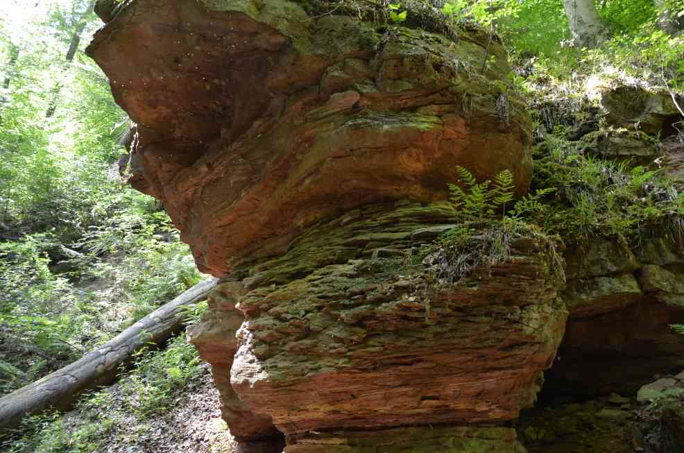 Felsen
              Seltenbachschlucht