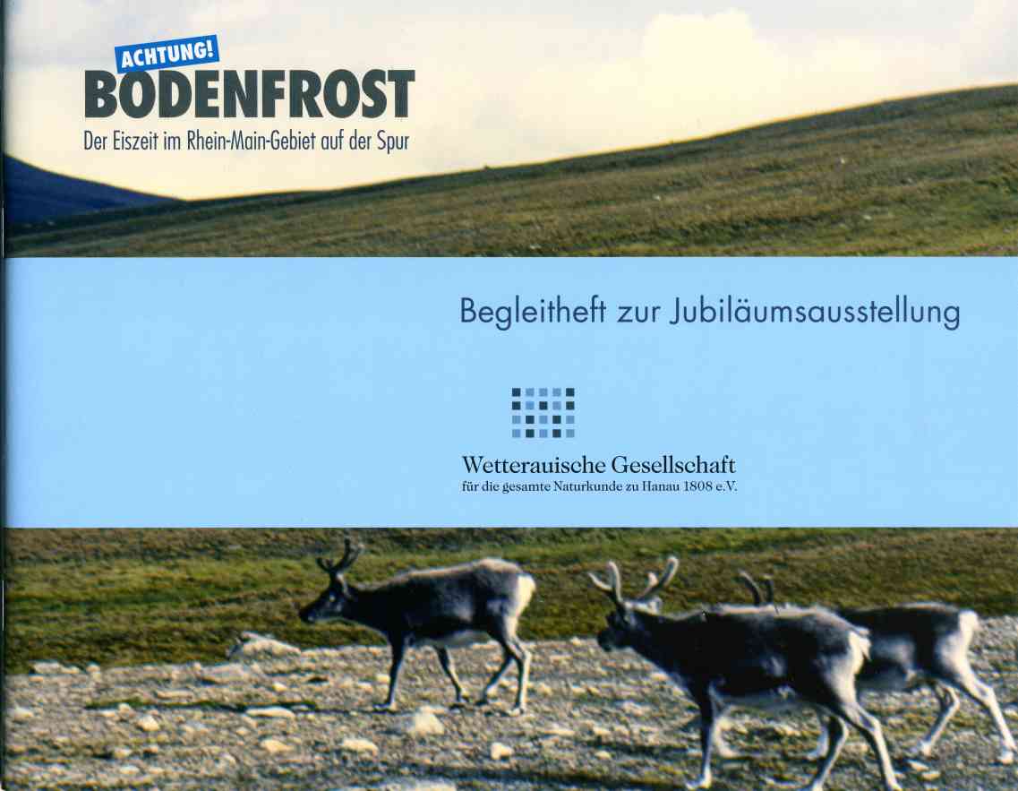 Bodenfrost